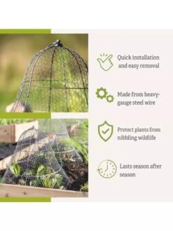 Chicken Wire Cloche With Extension -Garden Care Sale 8600116 3