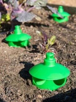 Slug And Snail Traps, Set Of 3 11 Slug And Snail Traps, Set Of 3 -Garden Care Sale 8600120 1788