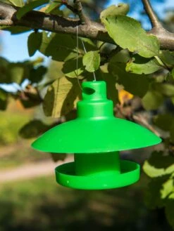 Slug And Snail Traps, Set Of 3 15 Slug And Snail Traps, Set Of 3 -Garden Care Sale 8600120 1792