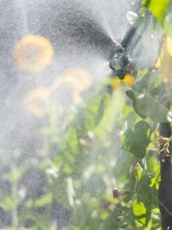 Landscape 4-Way Cooling Mist Kit, 50' -Garden Care Sale 8600154 0695 tif