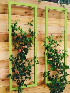 Ina Modern Wall Trellis Sr. -Garden Care Sale 8600510 01V tif