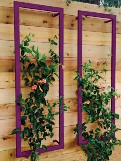 Ina Modern Wall Trellis Sr. -Garden Care Sale 8600510 02V tif