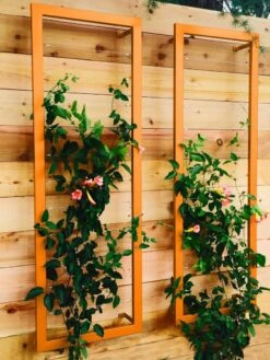 Ina Modern Wall Trellis Sr. -Garden Care Sale 8600510 04V tif