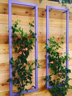 Ina Modern Wall Trellis Sr. -Garden Care Sale 8600510 07V tif