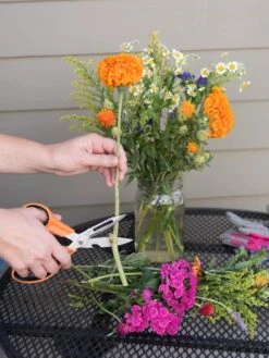 Gardener's Multi Purpose Scissors -Garden Care Sale 8608655 19555 tif