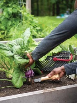 Gardener's Lifetime Hori Hori Knife -Garden Care Sale 8608888 0422 tif