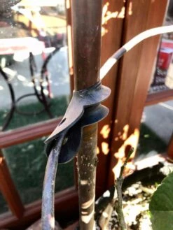 Garden Cane Connects, Set Of 6 -Garden Care Sale 8609019 03V tif