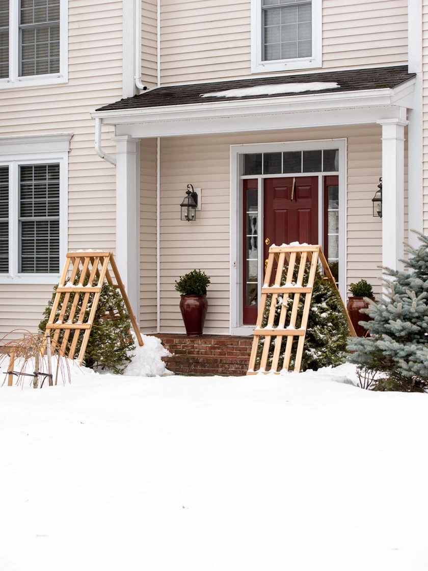 Cedar Shrub Guard 2 Cedar Shrub Guard - Image 2