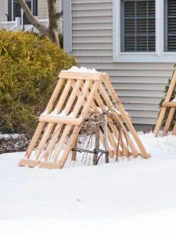 Cedar Shrub Guard 10 Cedar Shrub Guard -Garden Care Sale 8609071 3531 cedar shrub guard