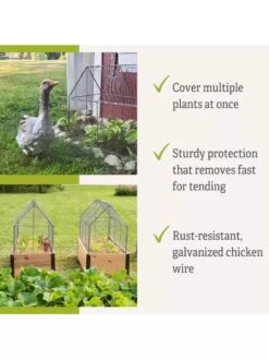 Chicken Wire Crop Coop -Garden Care Sale 8609080 2