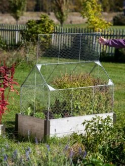 Chicken Wire Crop Coop -Garden Care Sale 8609080 4024