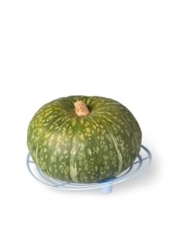 Melon And Squash Cradles, Set Of 6 -Garden Care Sale 8609464 5204 tif