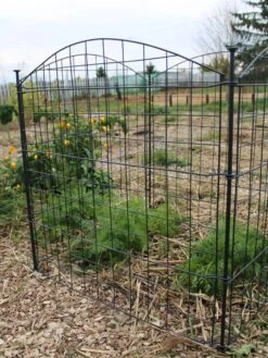 Garden Care Sale -Garden Care Sale 8609510 5235 tif