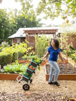 Mod Hod Trolley With Teal Mod Hods -Garden Care Sale 8610240 0070 tif