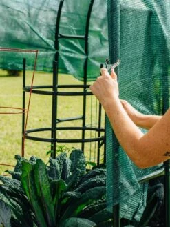 Maxi Garden Hoops With Clips -Garden Care Sale 8610372 368 tif