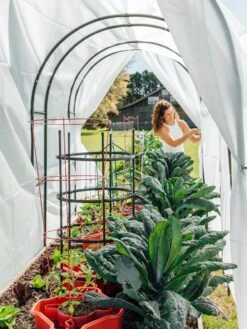 Maxi Garden Hoops With Clips -Garden Care Sale 8610373 377 tif