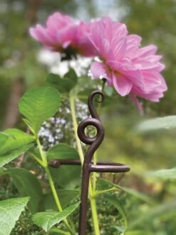 Garden Care Sale -Garden Care Sale 8610375 5701 tif