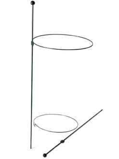 Peacock Classic Plant Support Rings 15", Set Of 2 10 Peacock Classic Plant Support Rings 15", Set Of 2 -Garden Care Sale 8610384 9562 tif