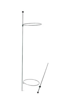 Peacock Mini Plant Support Rings 8", Set Of 2 -Garden Care Sale 8610388 9565 tif