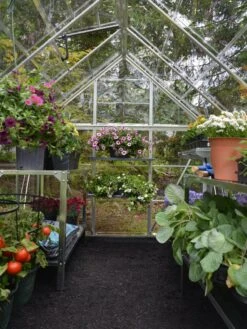 Canopia® By Palram Harmony™ Greenhouse, 6' X 14' -Garden Care Sale 8610563 03V jpg