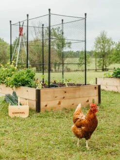 Tall Chicken Wire Critter Fence With Gate -Garden Care Sale 8611020 316 tif