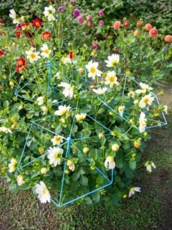 Garden Care Sale -Garden Care Sale 8611129 004 tif