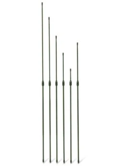 Titan Extendable Stakes, Set Of 6 7 Titan Extendable Stakes, Set Of 6 -Garden Care Sale 8611667 3070 tif