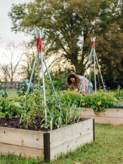 DIY Connector For Teepee Trellis -Garden Care Sale 8611896 38 tif