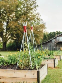 DIY Connector For Teepee Trellis -Garden Care Sale 8611896 71 tif