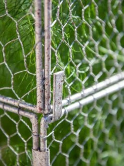 Chicken Wire Crop Coop Extension -Garden Care Sale 8611940 232 tif