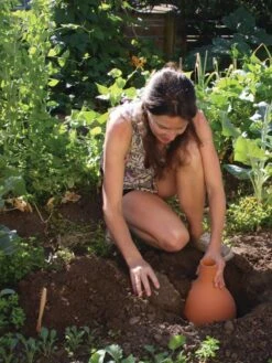 Hydro Max Watering System 9 Hydro Max Watering System -Garden Care Sale 8611967 15V tif