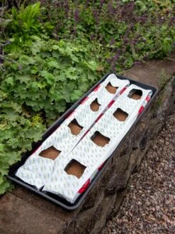 Berry Blend Coir Grow Bag, Set Of 2 6 Berry Blend Coir Grow Bag, Set Of 2 -Garden Care Sale 8611968 361 tif