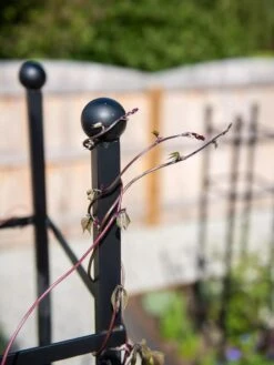 Essex Square Obelisk -Garden Care Sale 8611984 278 tif