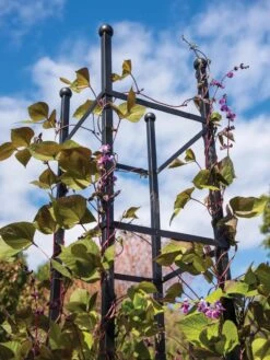 Essex Square Obelisk -Garden Care Sale 8611984 354 tif