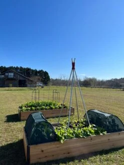 Insect And Pest Net Row Protector -Garden Care Sale 8611985 04 tif