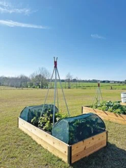 Garden Care Sale -Garden Care Sale 8611985 10 tif