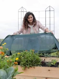 Insect And Pest Net Row Protector -Garden Care Sale 8611985 8390 tif