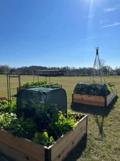 Pest Control Pop-Ups -Garden Care Sale 8611989 05 tif