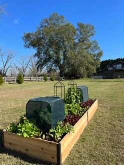 Pest Control Pop-Ups -Garden Care Sale 8611989 08 tif