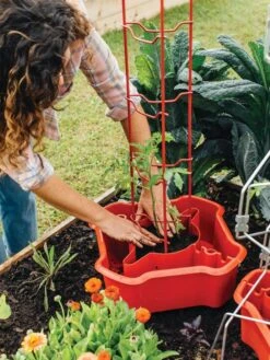 Deluxe Tomato Halos, Set Of 2 -Garden Care Sale 8612045 135 tif