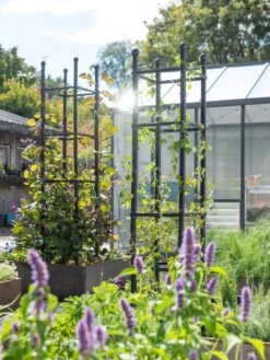 Garden Care Sale -Garden Care Sale 8612046 346 tif