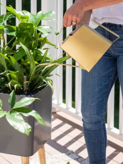 Precision Brass Watering Can -Garden Care Sale 8612691 0011