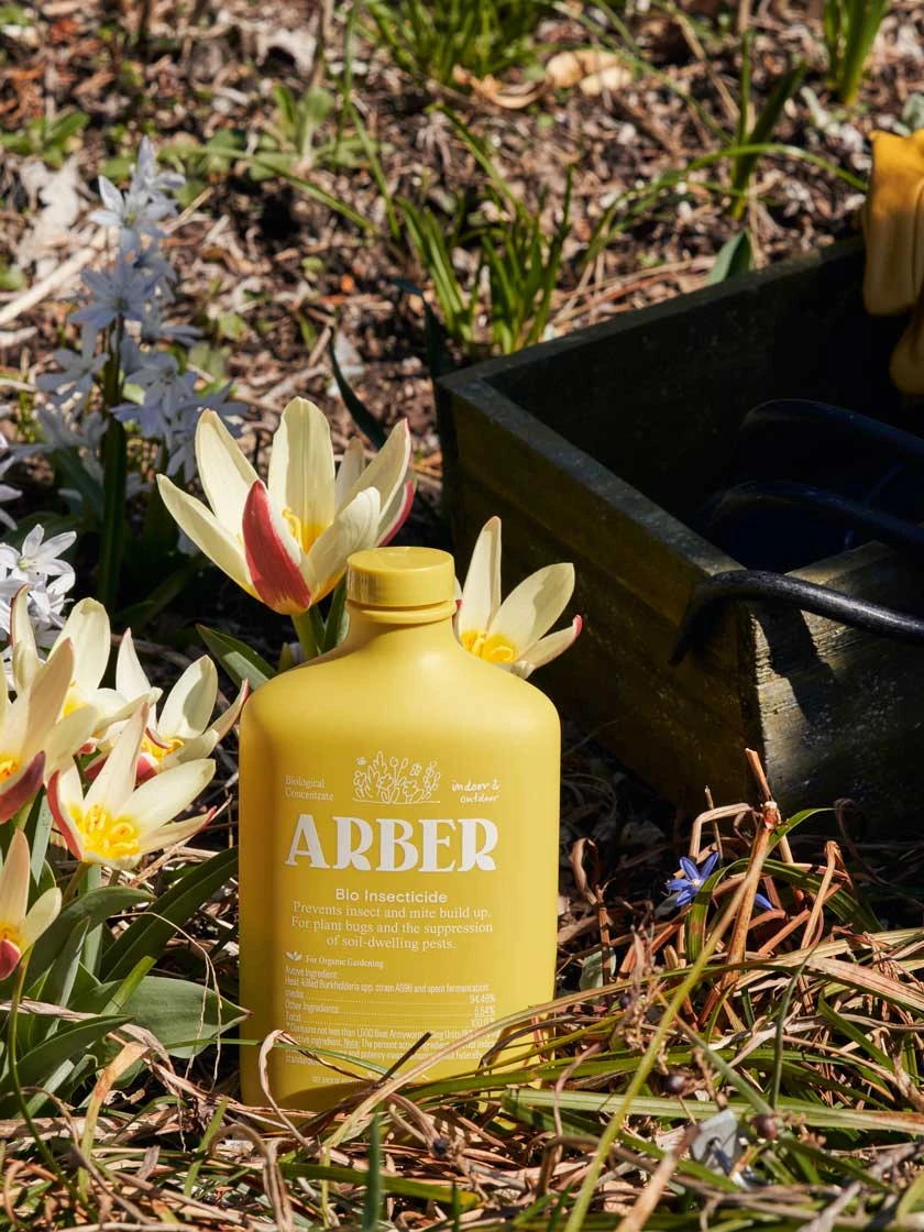 Organic Bio Insecticide Indoor/Outdoor 3 Organic Bio Insecticide Indoor/Outdoor - Image 3