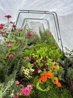 All-Purpose Garden Fabric -Garden Care Sale 8612816 01TEST