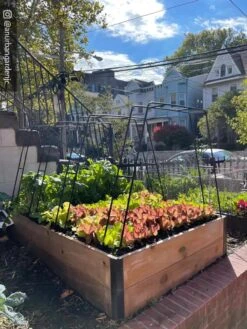 Zenith Garden Hoops, Set Of 4 -Garden Care Sale 8612816 02CUST