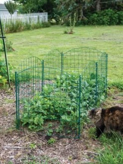 6 Panel Critter Fence With Gate -Garden Care Sale 8612967 2570 tif