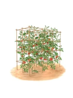 Tomato Six Pack Support -Garden Care Sale 8613143 art flat