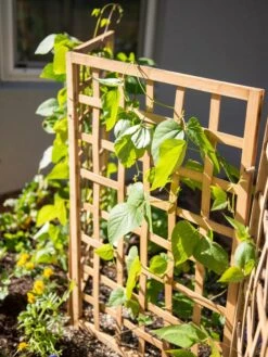 Bamboo Zig-Zag Trellis 24" X 36" 14 Bamboo Zig-Zag Trellis 24" X 36" -Garden Care Sale 8613151 6467
