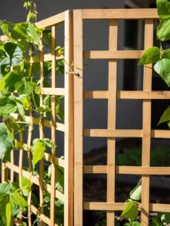 Bamboo Zig-Zag Trellis 24" X 36" 16 Bamboo Zig-Zag Trellis 24" X 36" -Garden Care Sale 8613151 6491