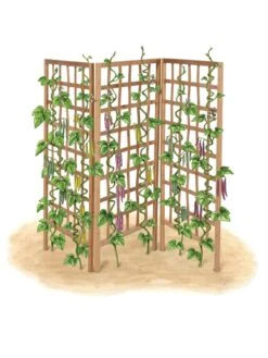 Bamboo Zig-Zag Trellis 24" X 36" 18 Bamboo Zig-Zag Trellis 24" X 36" -Garden Care Sale 8613151 art flat